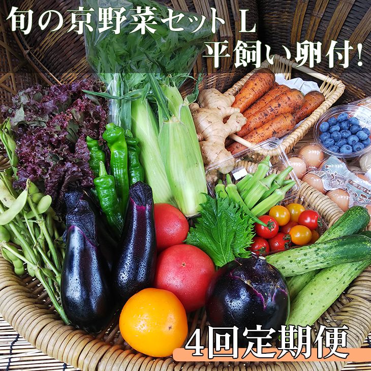 [4回定期便][アスカ有機農園]旬の京野菜セットL(平飼い卵付)*毎月お届け全4回≪定期便 ふるさと納税野菜 たまご≫