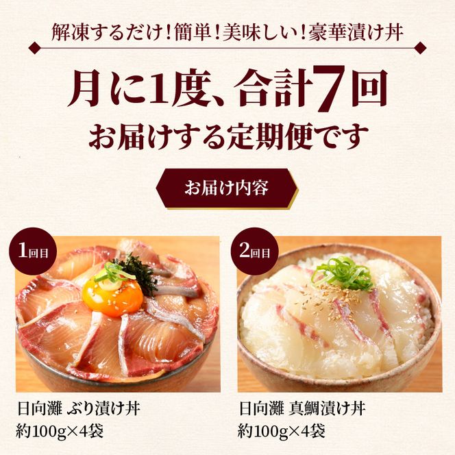 日向灘 海鮮丼 漬け丼 お魚の漬け丼 バラエティ7回定期便　N019-ZF050