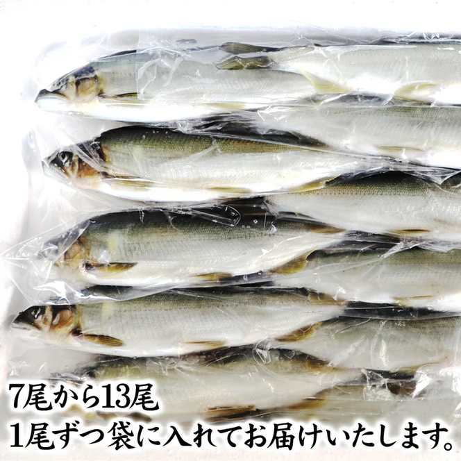 【延岡産】小分けで便利！冷凍子持ち鮎１kg N017-YZA173