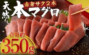 《 天然本まぐろ 》赤身サク 【合計約350g】本マグロ 本まぐろ 刺身 お刺し身 柵 マグロ 鮪 まぐろ ちらし寿司 手巻き寿司 おかず 海鮮丼 魚介類 真空パック 惣菜 訳あり 冷凍 故郷納税 12000円 送料無料 室戸の本マグロ tk016