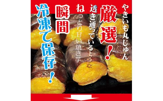 焼き芋 冷凍 冷やし焼き芋 シャリシャリちゃん 1kg(100g×10) 紅はるか＆シルクスイート H047-033
