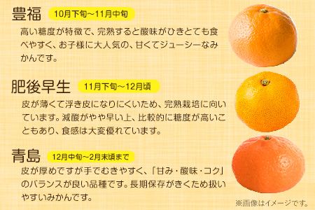 山本果樹園の旬のみかん 10kg 山本果樹園《９月中旬-2月末頃出荷予定》蜜柑 柑橘 ひのあかり 日南 豊福　肥後早生 青島 旬の品種をお届け！フルーツ 果物---sh_ymmtmkn_bc92_24_14500_10kg---