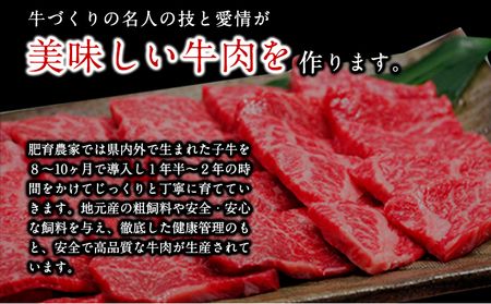 くまもと黒毛和牛 焼肉用 500g 1000g《90日以内に出荷予定(土日祝除く)》 南阿蘇食品---sms_fkmkgyk_90d_23_20000_500g---