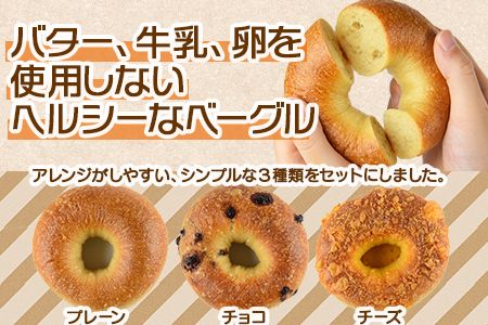 ＜ベーグル 3種セット 計6個＞翌月末迄に順次出荷【b0293_kp】