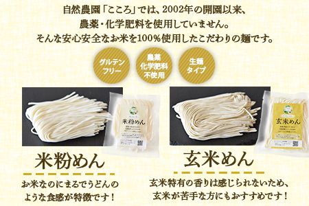 エクリプス エイガード XL（在庫有】 エクリプス サバイバルフィート 