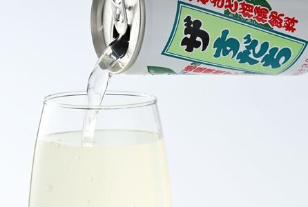 【CF】ザ・すだち(缶）190ml×30本入り《30日以内に出荷予定(土日祝除く)》---sanagouchi_jat_10_30hn---