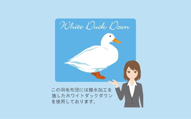 AM025 【セミダブル】洗濯機で洗える2枚合わせ羽毛ふとん【新津】｜合い掛け　肌掛け　オールシーズン