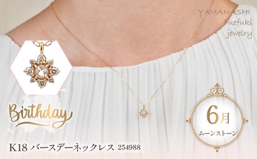 yRJszK18o[Xf[lbNX@[Xg[@6@Ǘԍ254988@×1{ 218-041