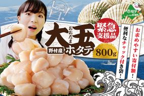 【緊急支援品】ランキング７位獲得！大人気！北海道 野付産 ジャンボ ホタテ 800g 20～30玉前後 大玉 緊急支援品【極寒が育てる凝縮の旨味】( ふるさと納税 ほたて 貝柱 帆立 冷凍 お刺身 刺身 刺身用 訳あり 不揃い 市 天然 生食 生食用 大 大粒 小分け 特大 送料無料 緊急支援 )【KT0000006】