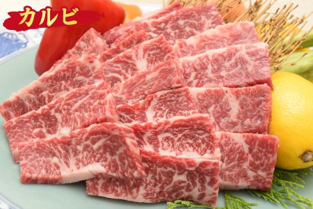 【3カ月連続定期便】ビールに最高!!人気のヒレステーキを含む佐賀牛「ステーキ 5種 食べ比べセット 500g」「焼肉カルビ 600g」「肩ロース 500g」 合計1.6kg【希少 国産和牛 牛肉 肉 牛 ステーキ すき焼き しゃぶしゃぶ 焼肉】 (H085145)