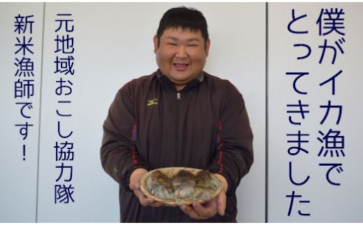 【先行予約】【2027年3月下旬以降順次発送】築上町で捕れた コウイカ 約2kg (5～10杯)《築上町》【明青丸】 [ABCB007]