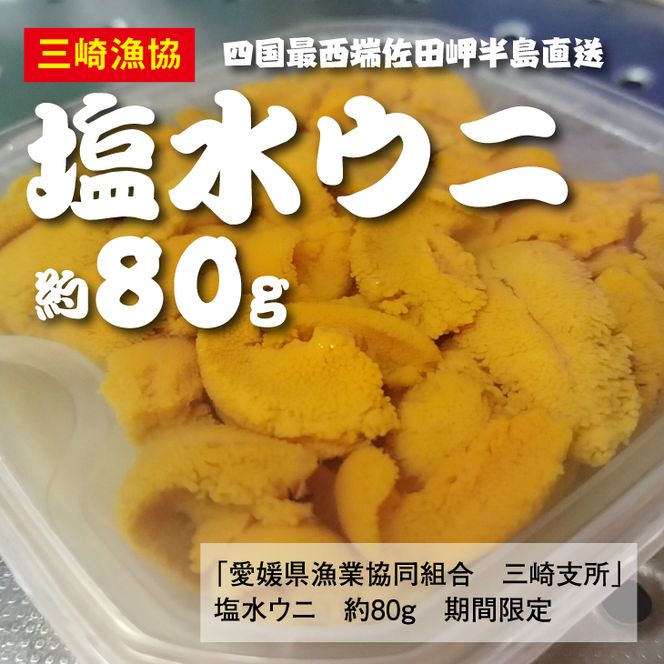 数量限定】【10/15までの期間限定受付】三崎の赤ウニ（塩水パック） 約  