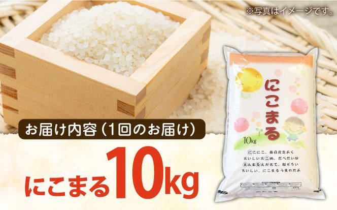 【3回定期便】長崎県産精米 にこまる10kg 総計 30kg / 南島原市 / 大松屋商店 [SDR006]