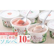 いちご農家がつくった淡雪と赤苺のソルベ 計10個(2種・各5個入) a5-218