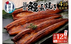 b10-058　【定期便4回】 鰻 長焼き【定期便】