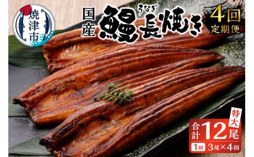 b10-058　【定期便4回】 鰻 長焼き【定期便】