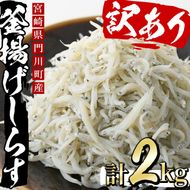 ＜訳あり・業務用＞数量限定！宮崎県産の釜揚げしらす(計2kg)小魚 魚介 海鮮 国産 冷凍【AS-4】【岩田水産】