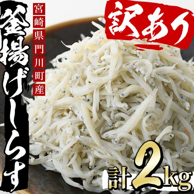 ＜訳あり・業務用＞数量限定！宮崎県産の釜揚げしらす(計2kg)小魚 魚介 海鮮 国産 冷凍【AS-4】【岩田水産】