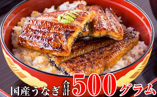 448.国産うなぎ蒲焼きカット500gセット(A448-1)