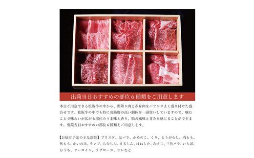 【3-171】松阪牛おまかせ6種極上焼肉600ｇ