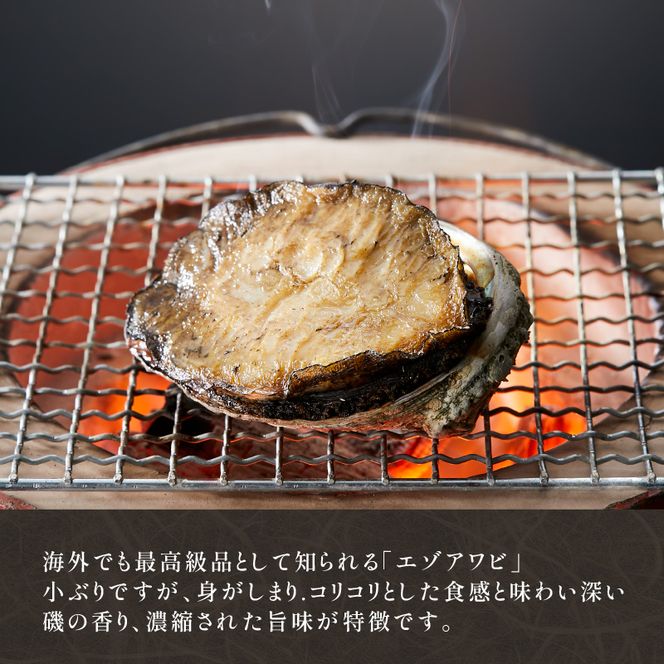 天然 エゾアワビ 1kg 冷凍 [nomura004]