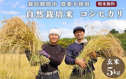 先行予約】京都府・亀岡産 令和6年産 栽培期間中農薬不使用 自然栽培米