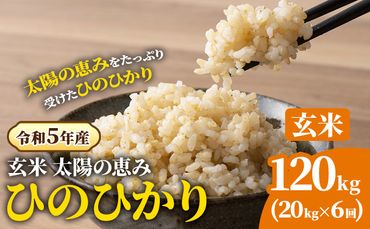 【令和5年産】玄米 岡山県産 ひのひかり 笠岡産 120kg(20kg×6回)《30日以内に出荷予定(土日祝除く)》 農事組合法人奥山営農組合 太陽の恵み O-2_10k---O-02_120k_g---