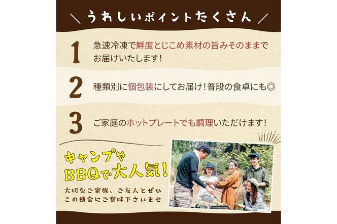 大好評！京丹後・海鮮BBQ　Gセット　大盛り生ズワイガニ　6種23品（4～5人前）　YK00166