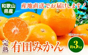 みかん 完熟有田みかん 約 3kg  有田マルシェ《11月下旬-1月上旬頃出荷予定》 和歌山県 日高町 みかん 有田 みかん 柑橘 フルーツ 完熟 ミカン 蜜柑 送料無料---wsh_arm10_h111_23_7000_3kg---