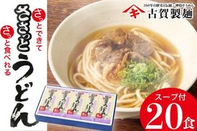 さっとできてさっと食べられる ささっとうどん 10入 【うどん 乾麺 佐賀県産 簡単】(H014139)