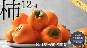 【 桐箱入り 】 柿 12個 【令和6年8月から発送開始】（県内共通返礼品：石岡市産） フルーツ 果物 季節 秋 ギフト 桐箱 プレゼント 贈答  [BI350-NT]