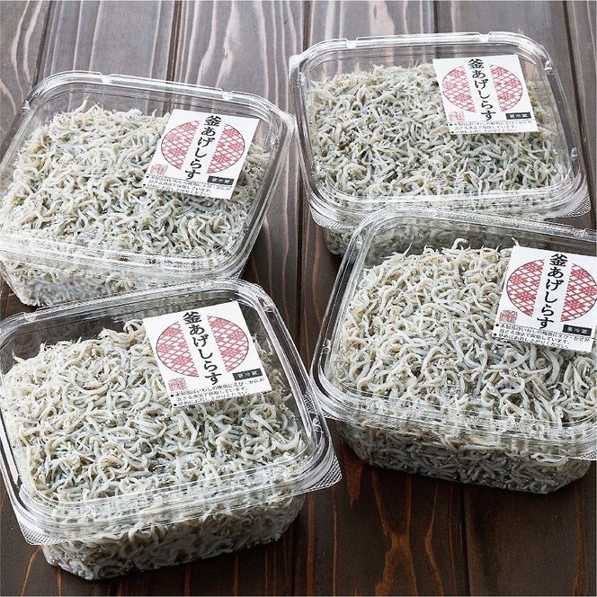 535.しらす職人が目利きした「釜揚げしらす」1.6kg(A-535-2)