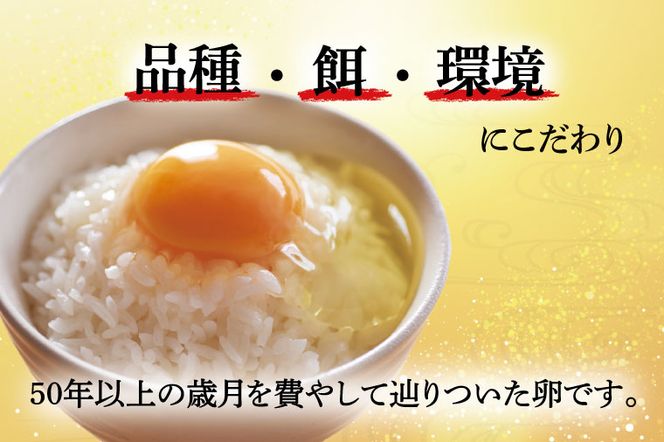 AQ013　【12ヶ月定期便】高橋ファームの丈夫卵30個入り