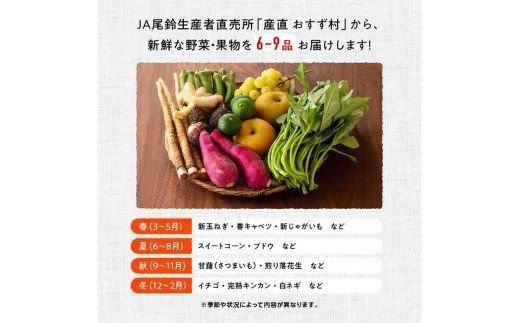 野菜 産直 おすず村 厳選詰め合わせセット（小）【 旬野菜 フルーツ 直売所 産地直送 宮崎県産 】☆[G3801]