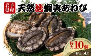 あわび 特大サイズ 10個 約1.5kg 冷蔵 鮑 蝦夷あわび 活あわび  あわび アワビ 鮑 Abalone ステーキ  バターソテー 正月 お正月 おせち 刺し身 刺身 バーベキュー BBQ ごはん 夕飯 おかず おつまみ 晩酌 米 丼 海産物 海鮮 魚介 魚介類 贈答品 お中元 お歳暮 大船渡 三陸 岩手県 国産[56500453_1]