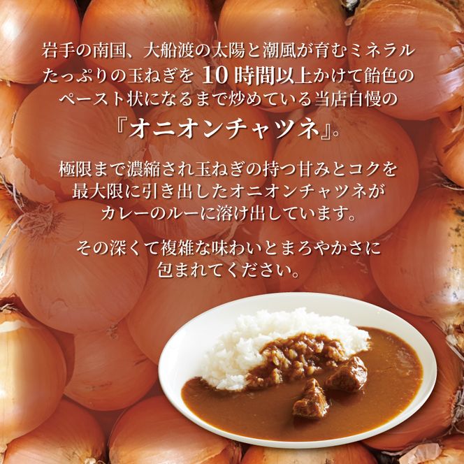 レトルトカレー 2種 × 2個 4個 カレー レトルト 辛口 甘口 ビーフカレー 玉ねぎ オニオンチャツネ カレー専門店 かれー curry スパイス スパイシー 簡単 時短 ごはん 夕飯 おかず 米 丼 常温 保存 常温保存 パスタソース レンジ 加工食品 惣菜 大船渡 三陸 岩手県 国産【kojika001】