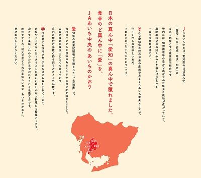 愛知県産 あいちのかおり10kg H017-099