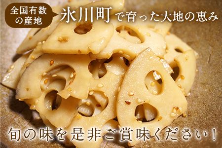 レンコン 約5kg 熊本県氷川町産 道の駅竜北《11月下旬-3月末頃出荷》 蓮根 根菜 きんぴら 熊本県氷川町---sh_cmitiren_cf113_r7_16500_5kg---