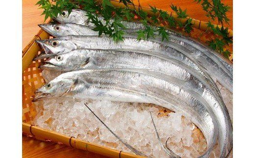 323 太刀魚 西京漬（網代編）2~3人前(A323-2)