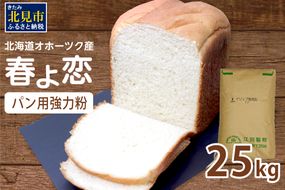 【北海道オホーツク産】パン用強力粉 春よ恋 25kg ※賞味期限30日保証 ( パン用強力粉 北海道産 小麦粉 パン 製パン )【056-0004】