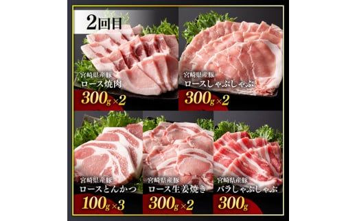 【訳あり定期便】宮崎県産豚肉 お楽しみセット6ヶ月定期便【 ロース とんかつ 豚バラ しゃぶしゃぶ 生姜焼き 小間切れ 豚 肉 豚肉 ミヤチク 全6回 】[D00638t6]