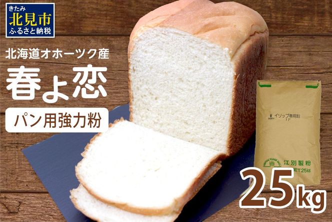  【北海道オホーツク産】パン用強力粉 春よ恋 25kg ※賞味期限30日保証 ( パン用強力粉 北海道産 小麦粉 パン 製パン )【056-0016】