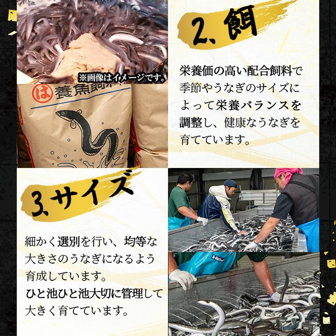 桜林養鰻のきざみうなぎ計300g(きざみうなぎ50g(うなぎ40g＋たれ10g)×6P) a0-312