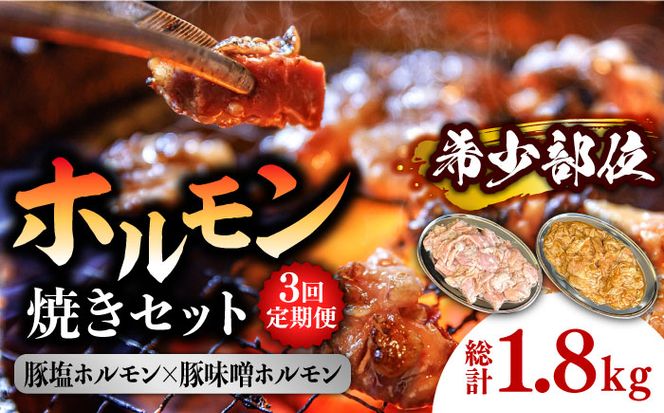 【3回 定期便 】ホルモン 塩焼き・ニンニク味噌焼きセット 総計1.8kg / 肉 豚肉 直腸 豚テッポウ 希少部位 国産 / 南島原市 / はなぶさ [SCN137]