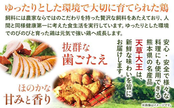【幻の地鶏】天草大王大手羽セット ４本入り 約650g以上 大海水産株式会社《45日以内に出荷予定(土日祝除く)》熊本県 長洲町 地鶏 チキン 鶏肉 手羽先 手羽元 大手羽 照り焼き 冷凍 送料無料---sn_fadotb_45d_r8_12000_650g---