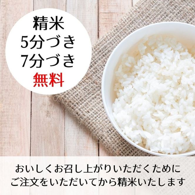令和6年度 宇都宮市産 新米 とてつもなく 規格外 玄米約25kg もち米 令和6年度 宇都宮市産 新米 とてつもなく 規格外 玄米約25kg もち米