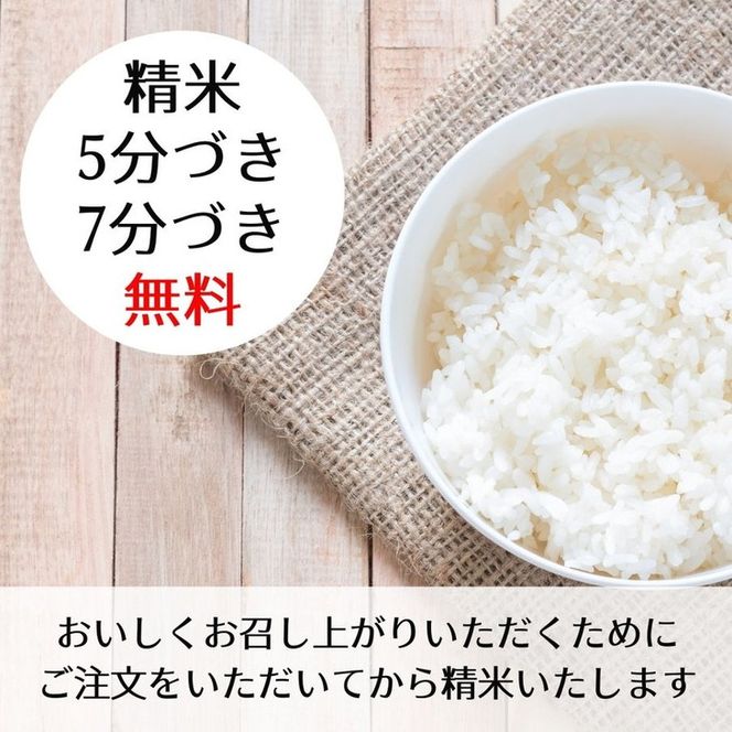 【定期便】令和6年産 新米 先行予約  京都 丹波産 きぬひかり 玄米 5kg×6回 計30kg｜5つ星お米マイスター 厳選 受注精米可 隔月発送も可 ※離島への配送不可※2024年9月下旬以降順次発送予定