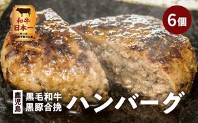 鹿児島黒毛和牛×鹿児島黒豚合挽ハンバーグ（湯煎タイプ・ソース入り）6個　K130-007