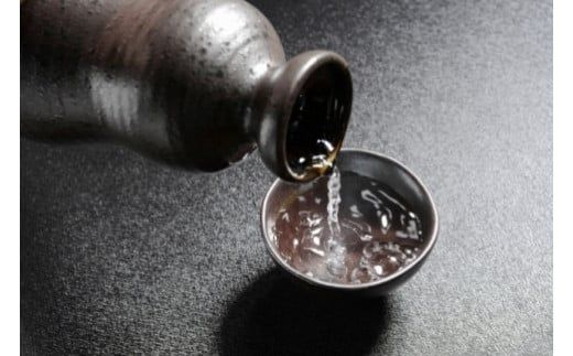 「日本城」吟醸純米酒と特別本醸造1.8L×2種セットXH035