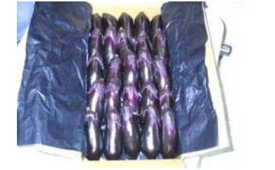 ymKczKcYuƂȂ֎qv 5kg iKc񕍊Ǘԍ1910j